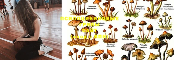 mix Алексин