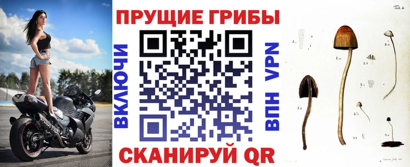 купить наркотик  нарко площадка состав  Псилоцибиновые грибы Psilocybe  Бодайбо 